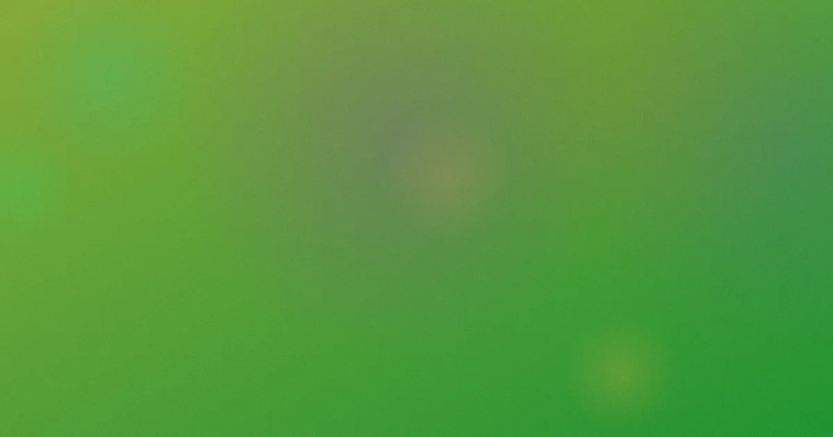 温流测评：新粉少踩坑
